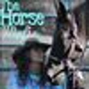 The Horse Mafia