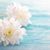Journey To Wellness Center, Cambria Heights NY