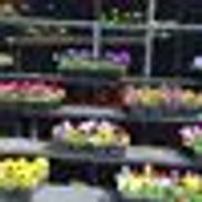 Windy Farm Garden Center Yonkers Ny Alignable