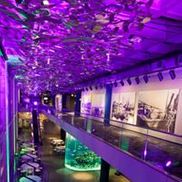 Charleston Uplighting