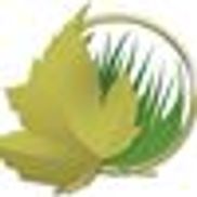 Accent Lawn Services
