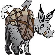 CGS MULE, LLC