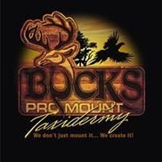 Buck's Pro Mount Taxidermy