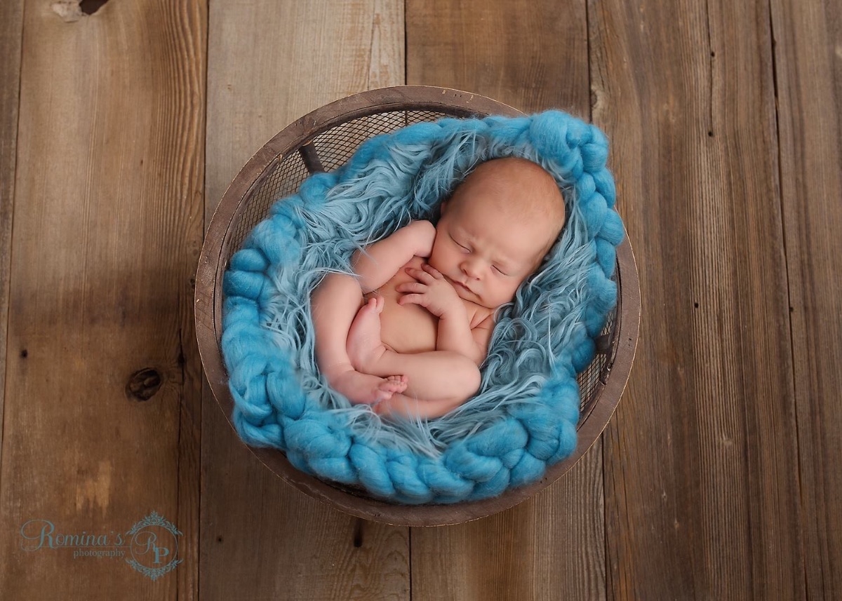 Romina's Photography-by Romina Ludovico, Ormond Beach FL