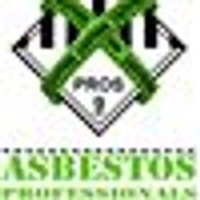 Asbestos Professionals