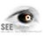 SEE Global Entertainment