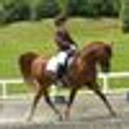 Lake Norman Dressage Center