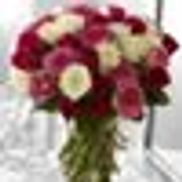 Seaford Florist Inc