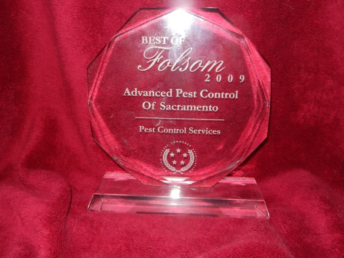 Advanced pest control of Sacramento, Orangevale CA