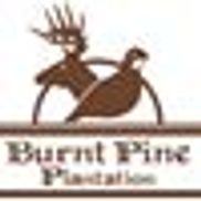 Burnt Pine Plantation