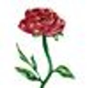 Pierson's Funeral Home