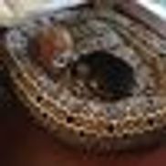 Pet Sitting by Shelly by Shelly Galanter 