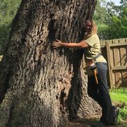 Orlando Tree Consulting