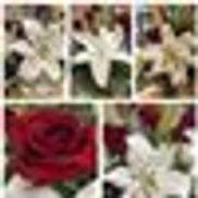 Rambling Rose Florist