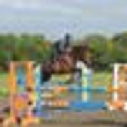 Ace Equestrian Center