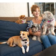 Lost Pet Services, Inc., Bradenton FL
