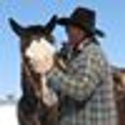 McDonald Quarter Horses