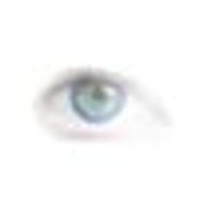 Dr. William E. Sponsel, MD