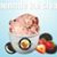 Shawn Michelle's Ice Cream