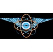 Prontogenesis Consulting LLC 