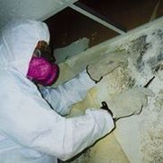Mold Doctors - Yarmouth, MA - Alignable