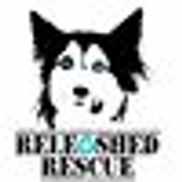 Releashed rescue hot sale