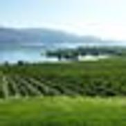 PDC Business & Tax Chartered Professional Accountants