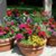 Fredericks Landscaping