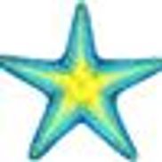 SeaStar Coaching
