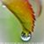 Burnside Photographic