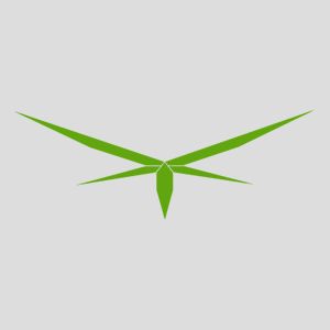 Dragonfly Computers, Sandwich MA