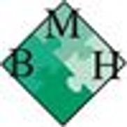 BMH Investment Group
