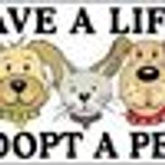 CAC Pals for Paws,Inc.