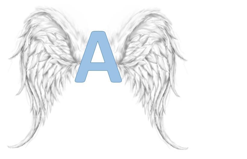 Admin Angels Administrative Consulting , Springfield MO