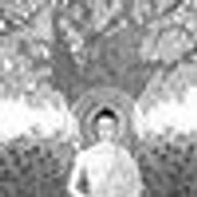 The School of Vibrational Healing