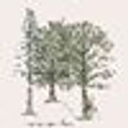 J.J. Wohlfert's Custom & Standard Trim