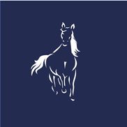 Wired Mustang, Inc.