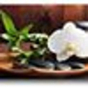European Medical Massage & Spa LLC