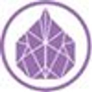 The Purple Fig Cleaning Company LLC