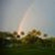 Digital Marketing Wellness Consultant