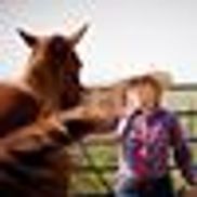 The South Dakota Cowgirl