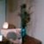 Mosaic Massage and Reflexology