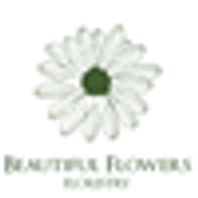 Beautiful Flowers NY