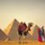 G M Tours