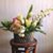 Snapdragon Flowers of Elm Grove