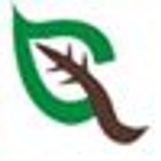 Green Cleen, A Detail Company, LLC