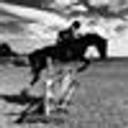 Valley Equestrian Centre