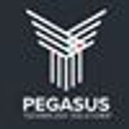 Pegasus Technology Solutions - Frisco, TX - Alignable
