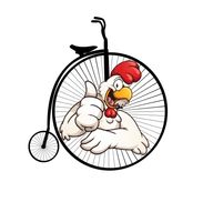 rooster wheels bike shop