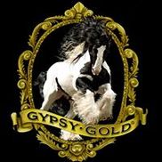 Gypsy Gold